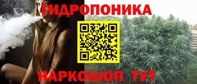 спиды Будённовск