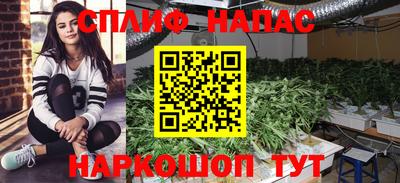 спиды Будённовск