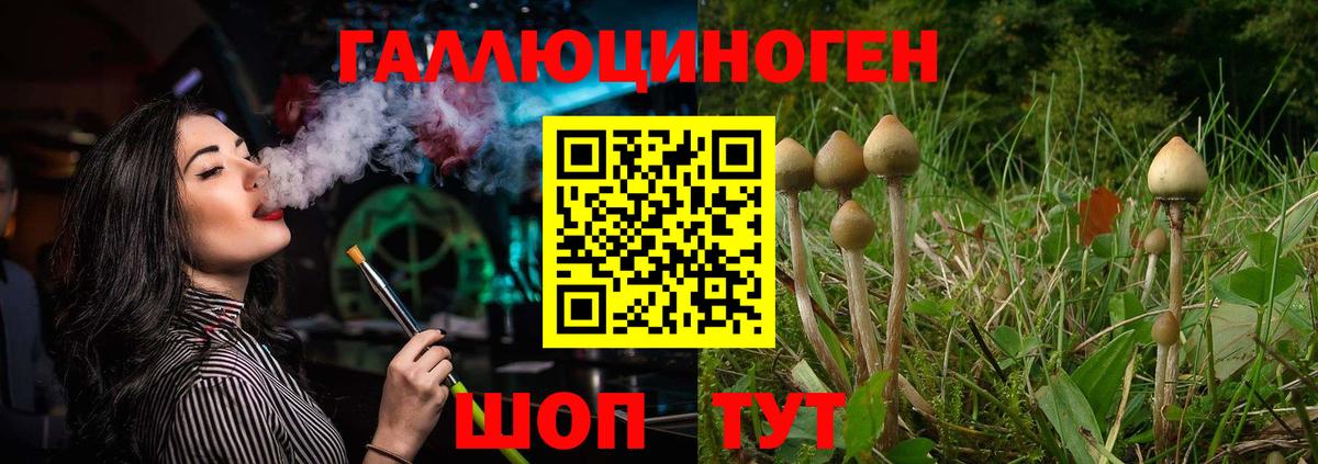 Галлюциногенные грибы мицелий Омск